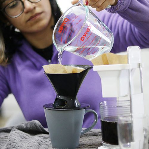 organic coffee cabo